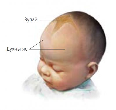 Хүүхдийн зулай хэзээ битүүрэх вэ?