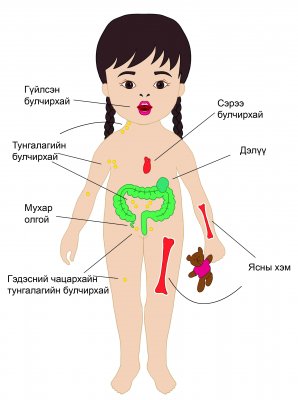 Хүүхдийн дархлаа тогтолцооо ямар онцлогтой вэ?