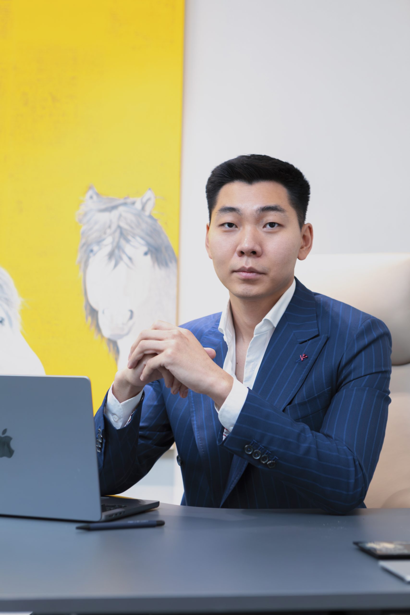 Image hover effect image